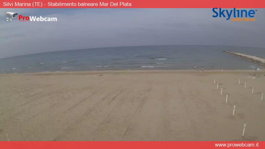 Webcam